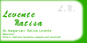 levente matisa business card